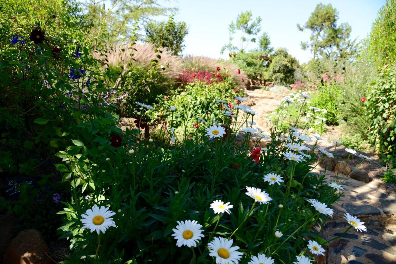 Olepangi Farm Villa Nanyuki Exterior photo
