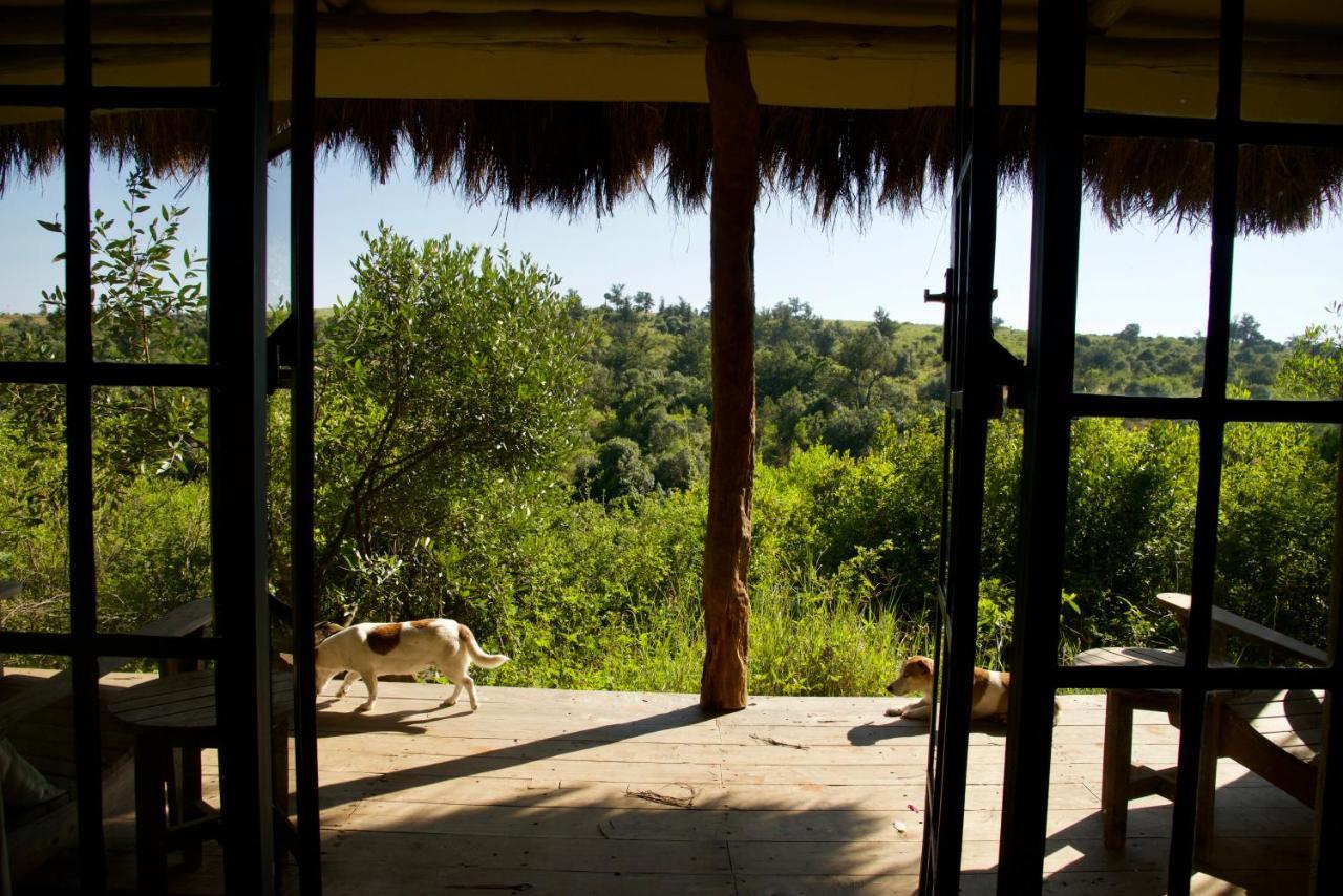 Olepangi Farm Villa Nanyuki Exterior photo