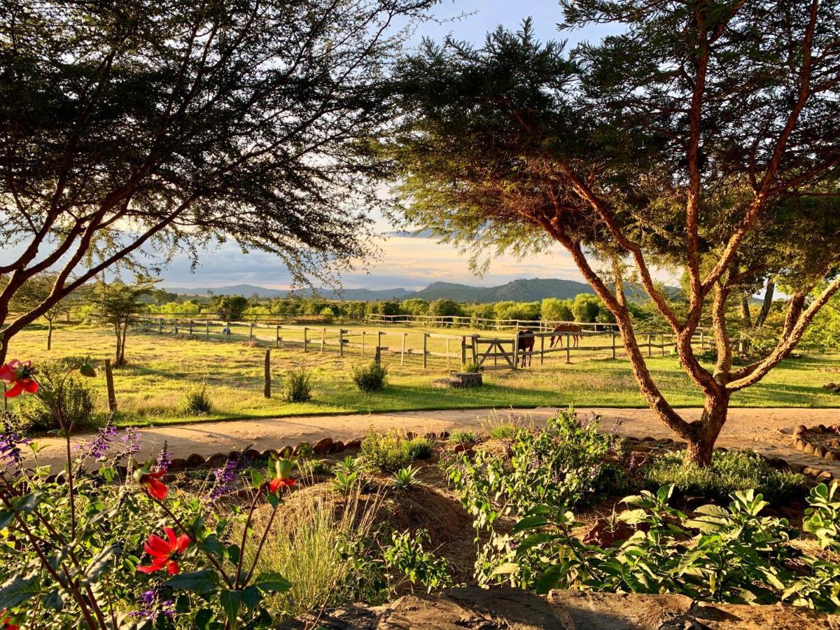 Olepangi Farm Villa Nanyuki Exterior photo