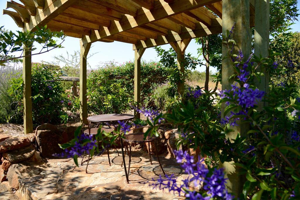Olepangi Farm Villa Nanyuki Room photo